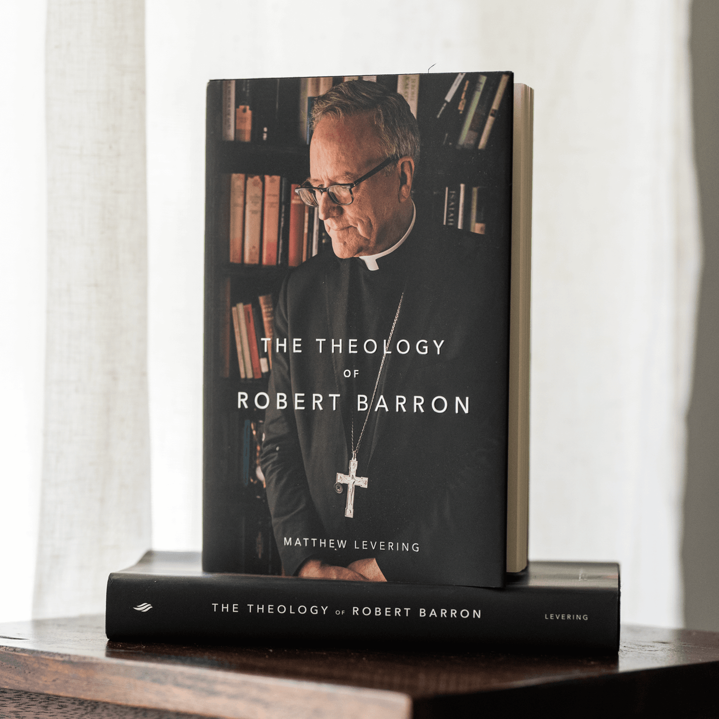 Cover of the book The Theology of Robert Barron by Matthew Levering, published by Word on Fire Academic, suitable for readers interested in Catholic theology books, hardcover 9781685780173