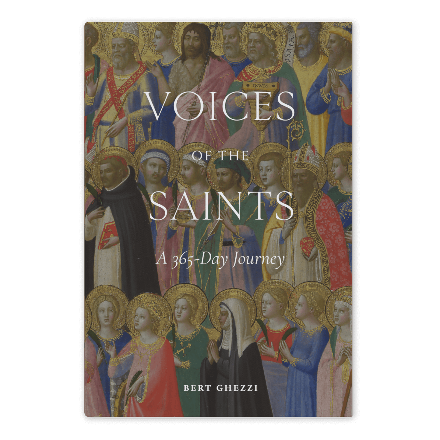 Cover of "Voices of the Saints: A 365-Day Journey" featuring medieval-style illustrations of saints with halos and religious figures, daily devotional for Catholics, hardcover 9781685781163