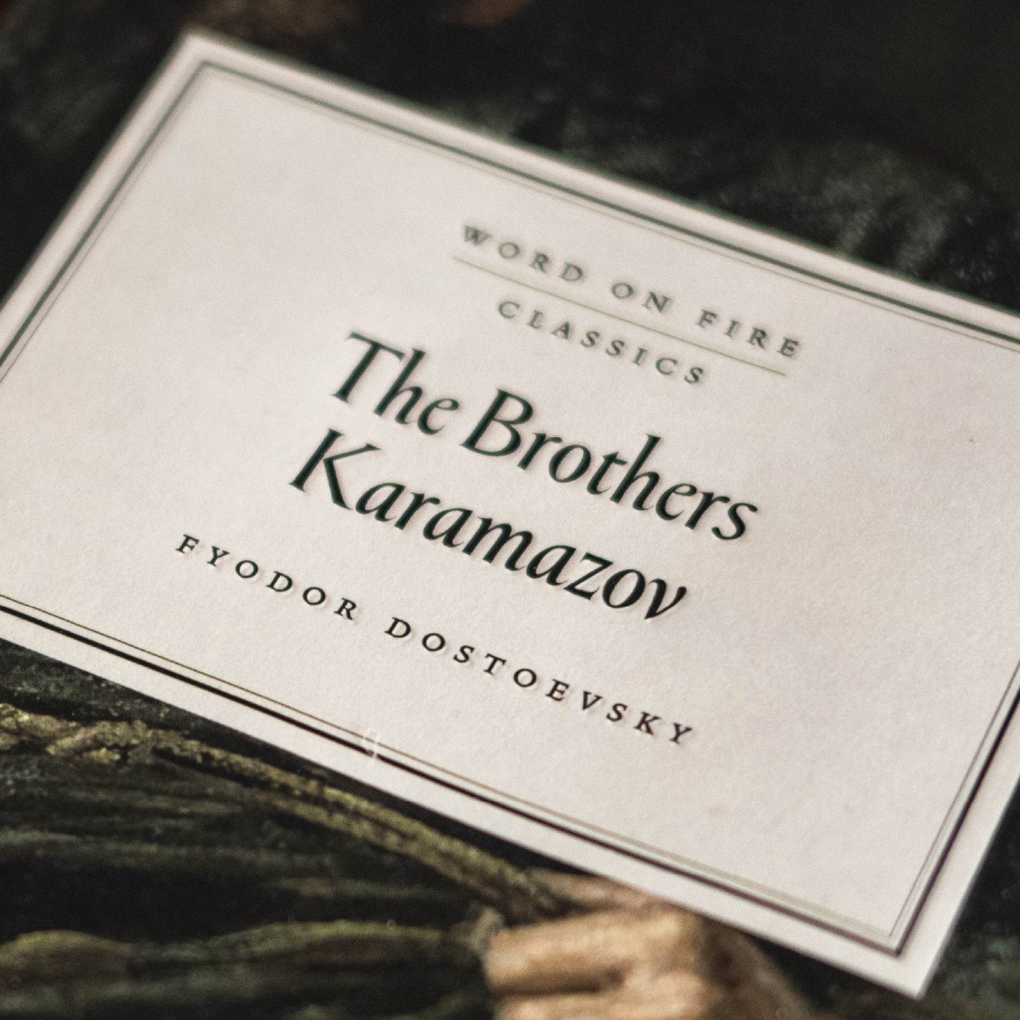 The Brothers Karamazov by Fyodor Dostoevsky, Word on Fire Classics hardcover edition, 9781685781156