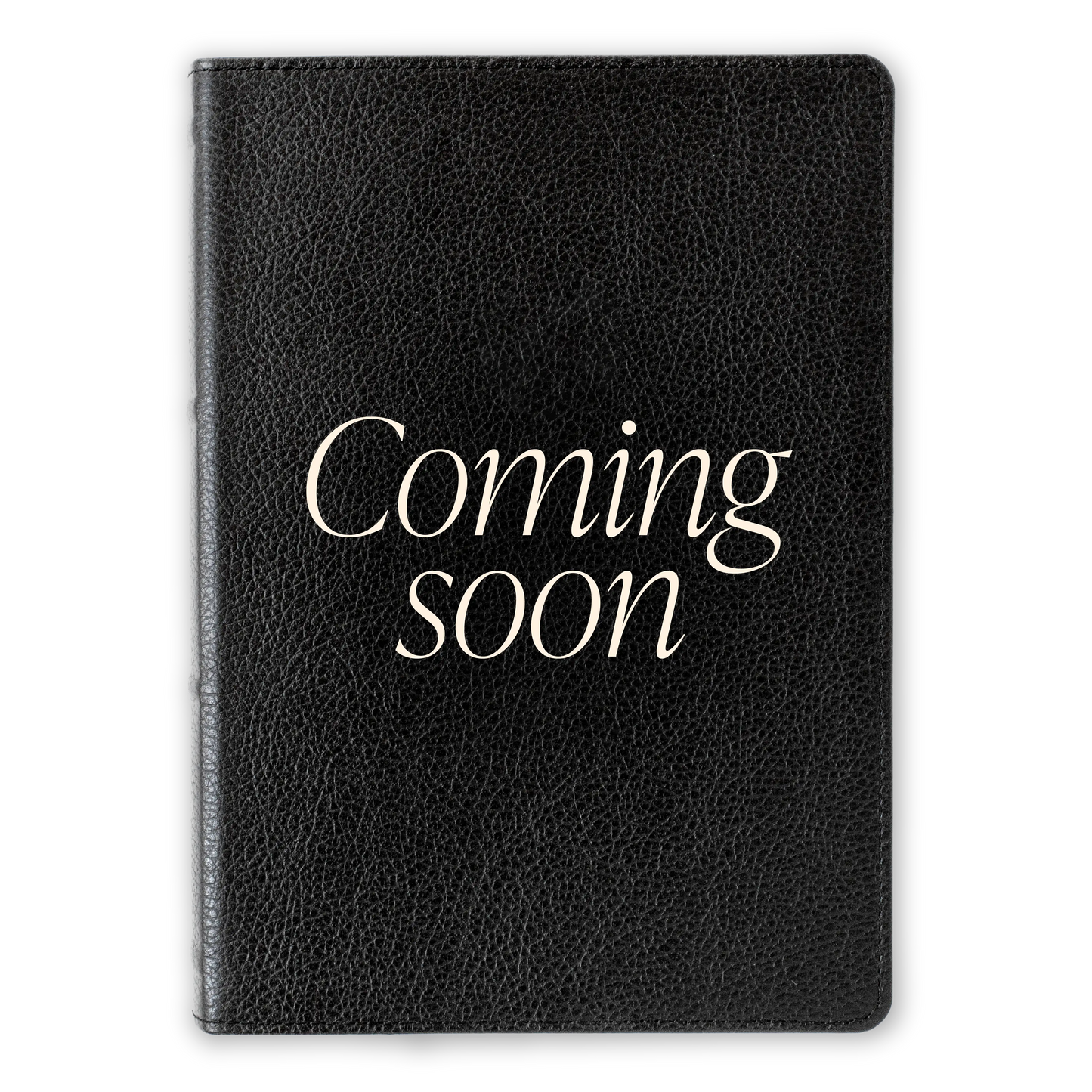 The Word on Fire Bible (Volume VI): The Wisdom Literature