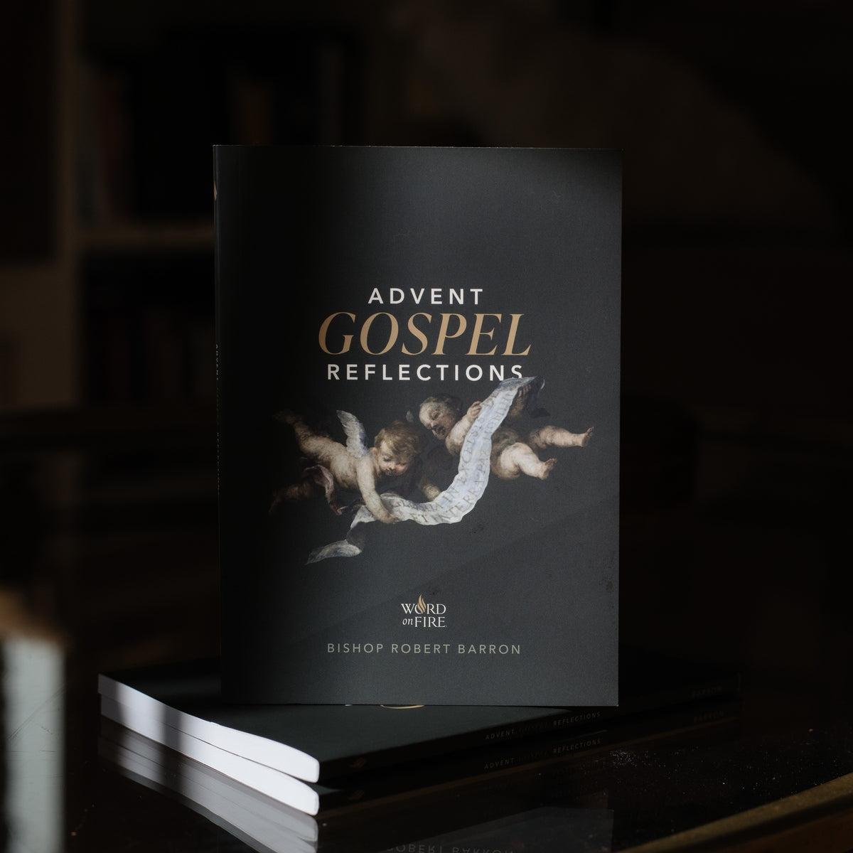 Advent Gospel Reflections 2026