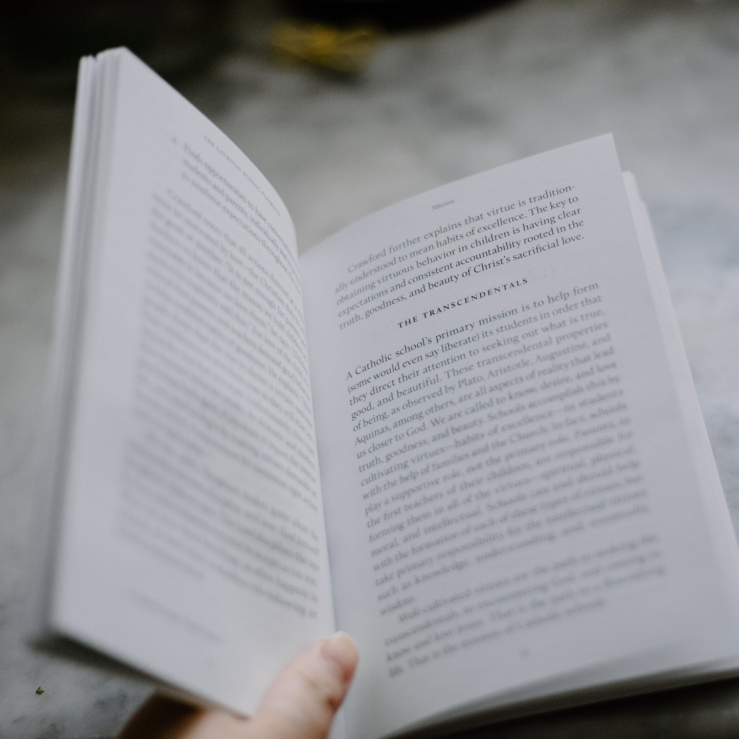 Open book titled The Catholic School Playbook held by a hand showing text on Catholic education, suitable for Catholic teachers and educators, paperback 9781685782085
