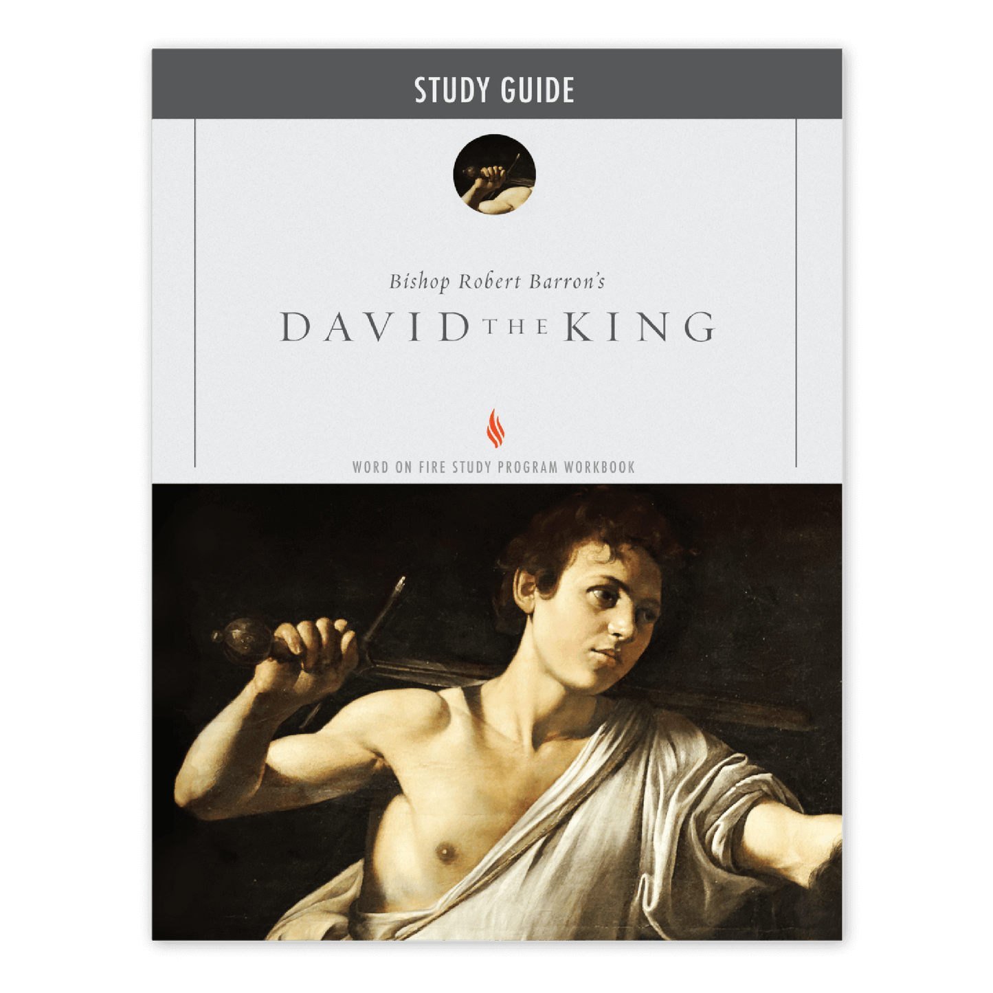 David the King Study Guide
