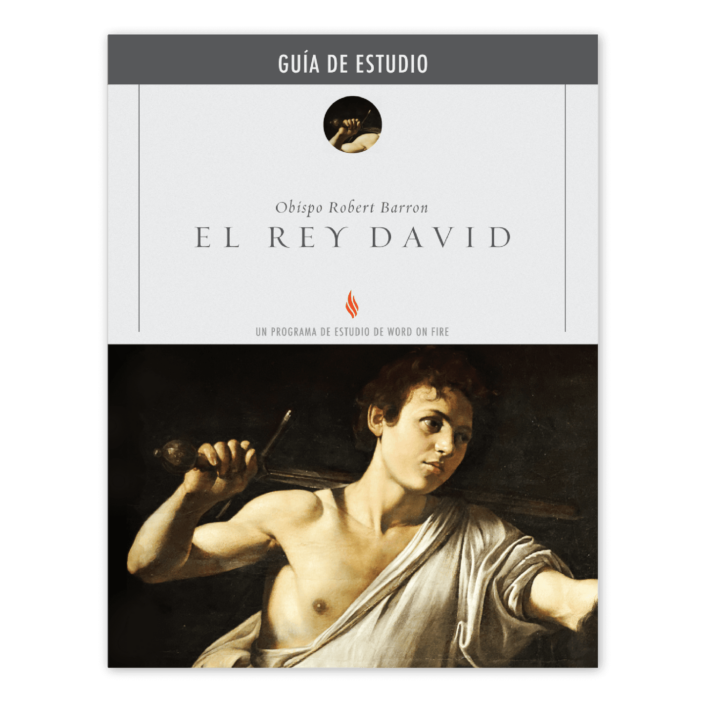 El Rey David Guía de Estudio