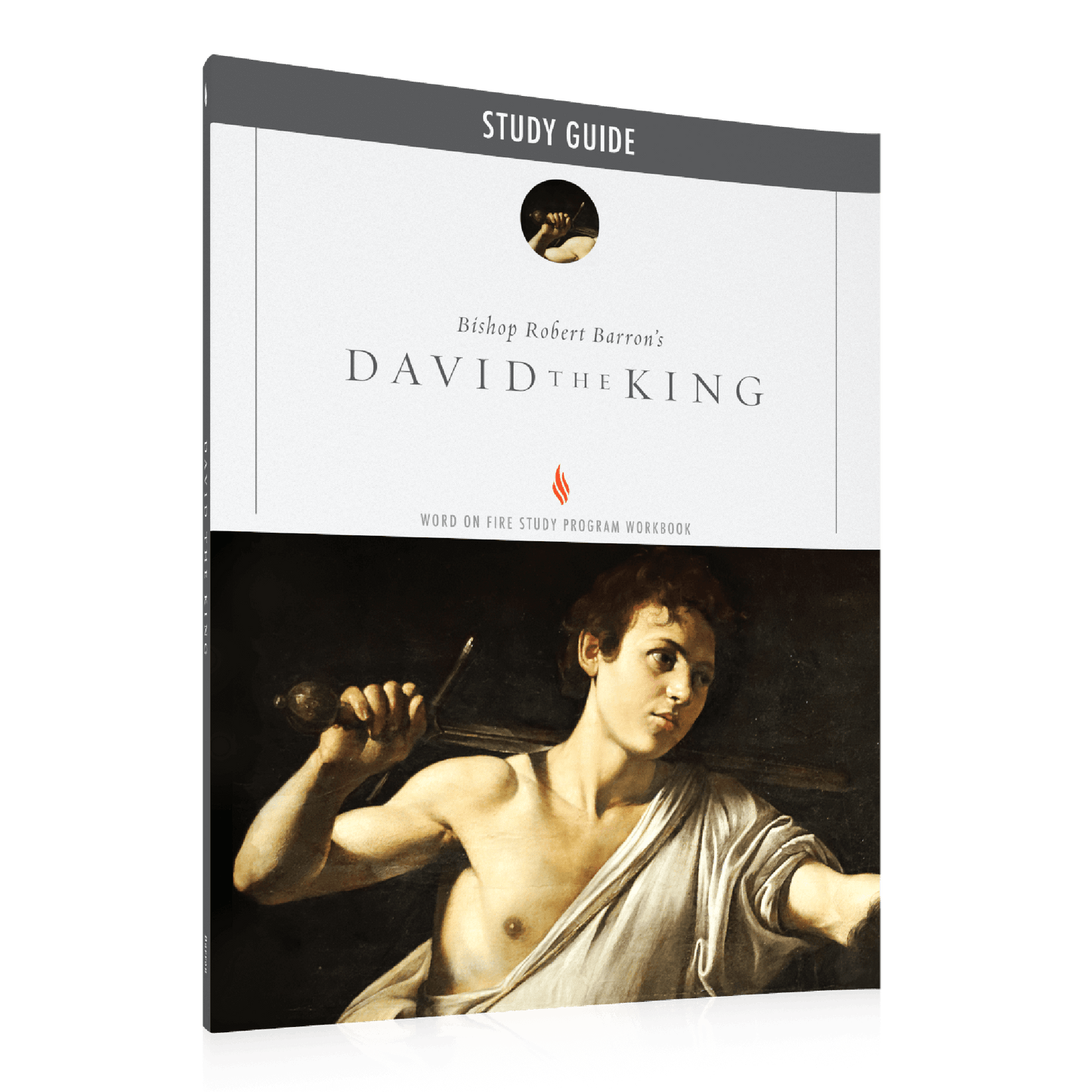 David the King Study Guide