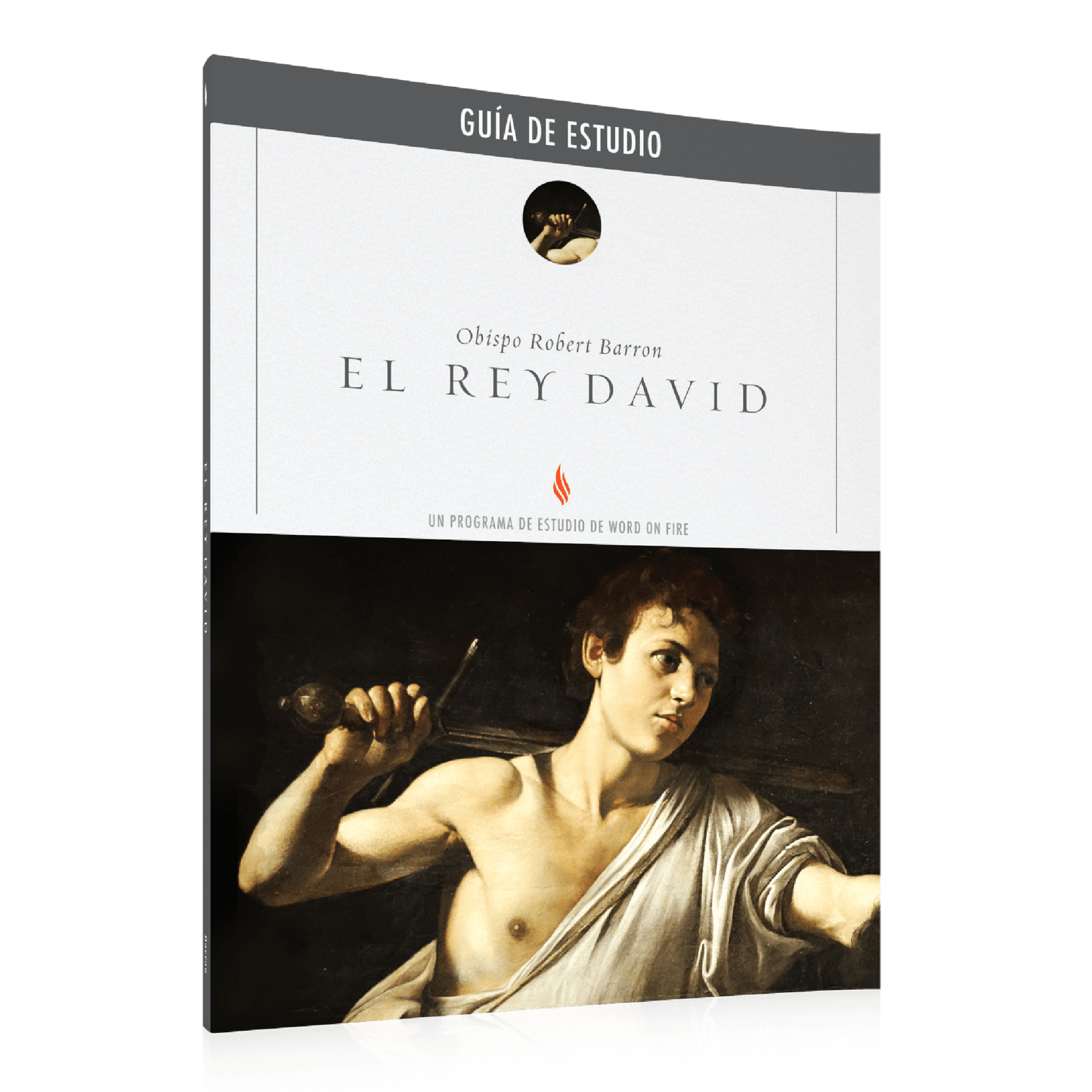 El Rey David Guía de Estudio