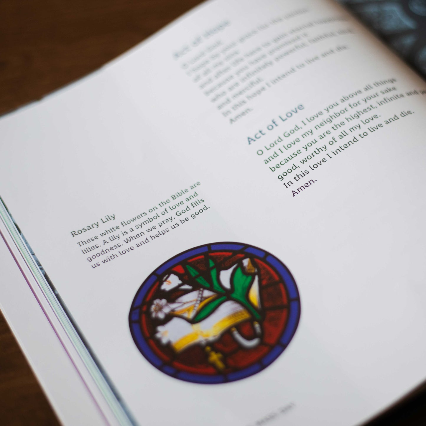 Let Us Pray: Catholic Prayers for All Abilities