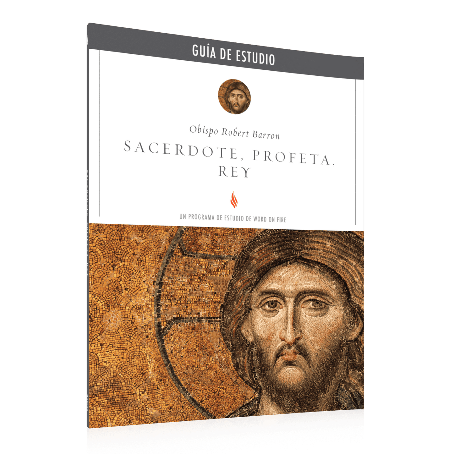 Sacerdote, Profeta, Rey Guía de Estudio