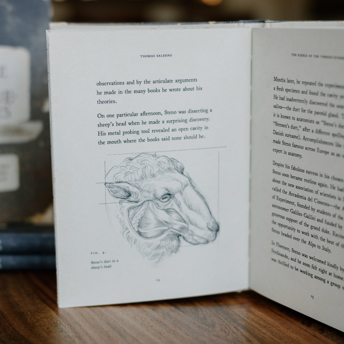 The Riddle of the Tongue-Stones