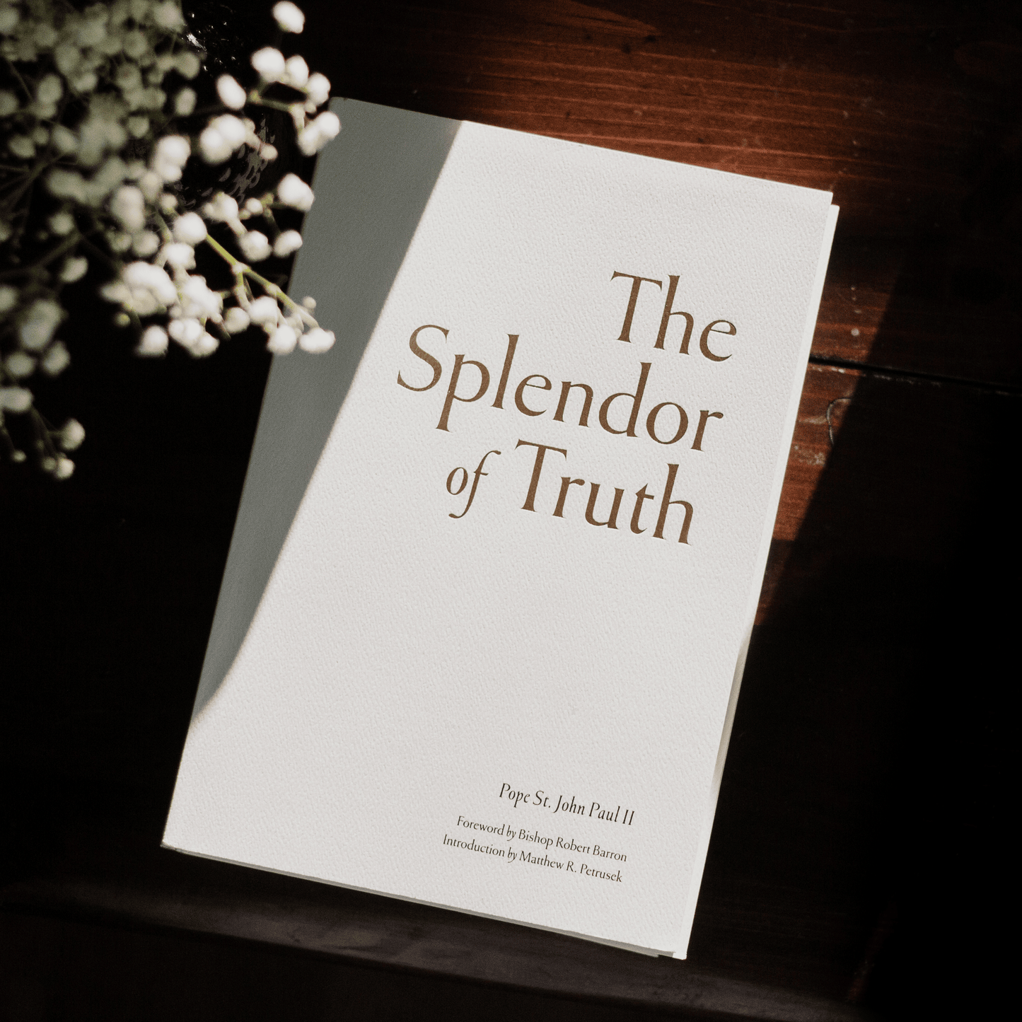 The Splendor of Truth book by Pope St. John Paul II with foreword by Bishop Robert Barron, paperback 9781685781675