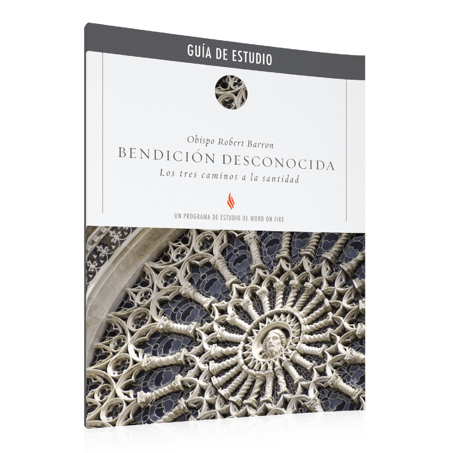 Bendición Desconocida Guía de Estudio