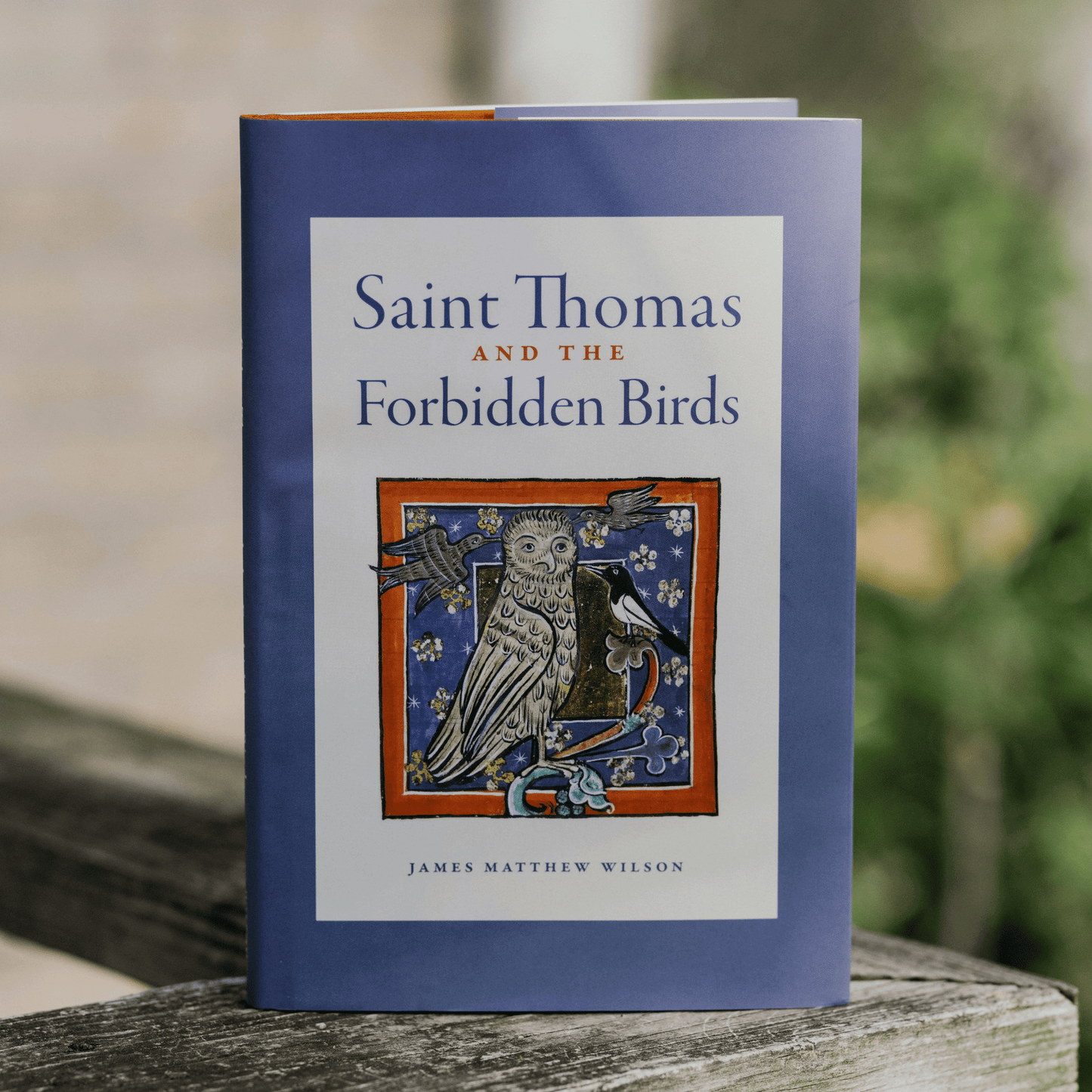Saint Thomas and the Forbidden Birds book cover featuring a medieval-style illustration of birds around an owl, authored by James Matthew Wilson, Catholic poetry book, hardcover 9781685780944