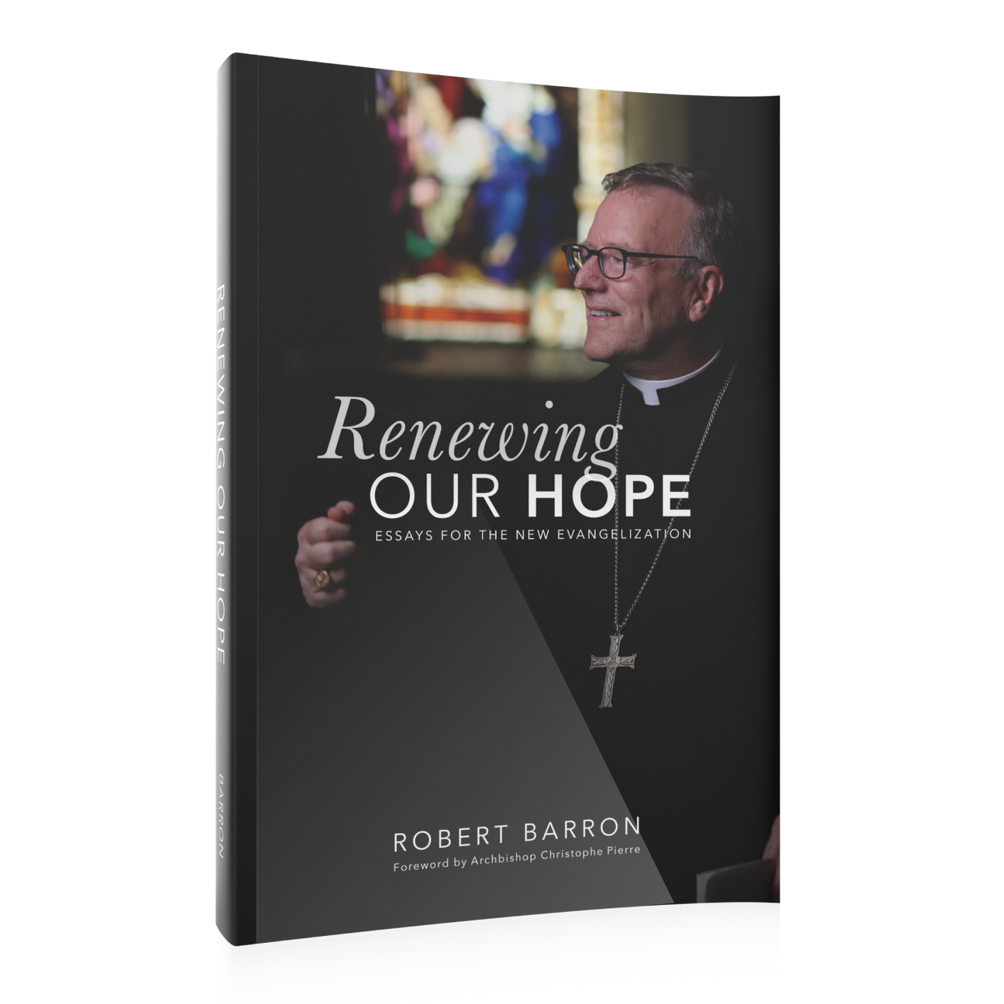 Renewing Our Hope: Essays for the New Evangelization