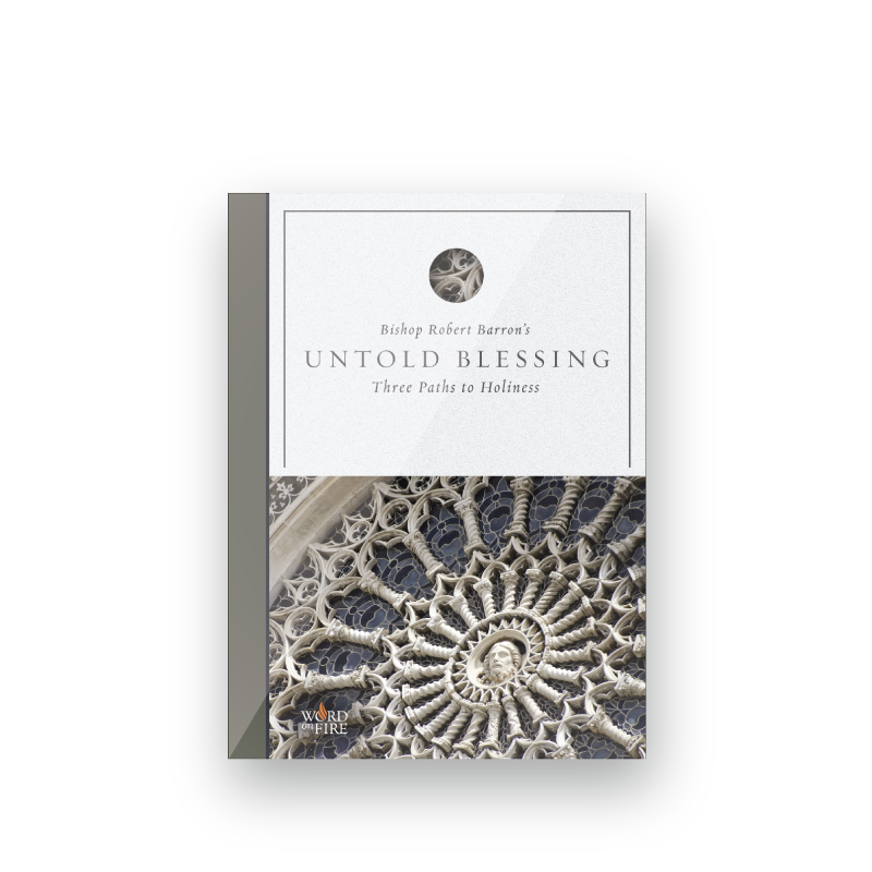 Cover of Untold Blessing - Film showing intricate cathedral stonework with a circular pattern, labeled Contributors: Bishop Robert Barron, Age Range: Adult, ISBN: 9781944639834, Binding Type: DVD.