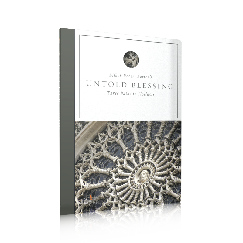 Untold Blessing - Film by Bishop Robert Barron featuring a close-up of intricate stone architecture on the cover, contributors listed, suitable for adult age range, ISBN included, and DVD binding type.