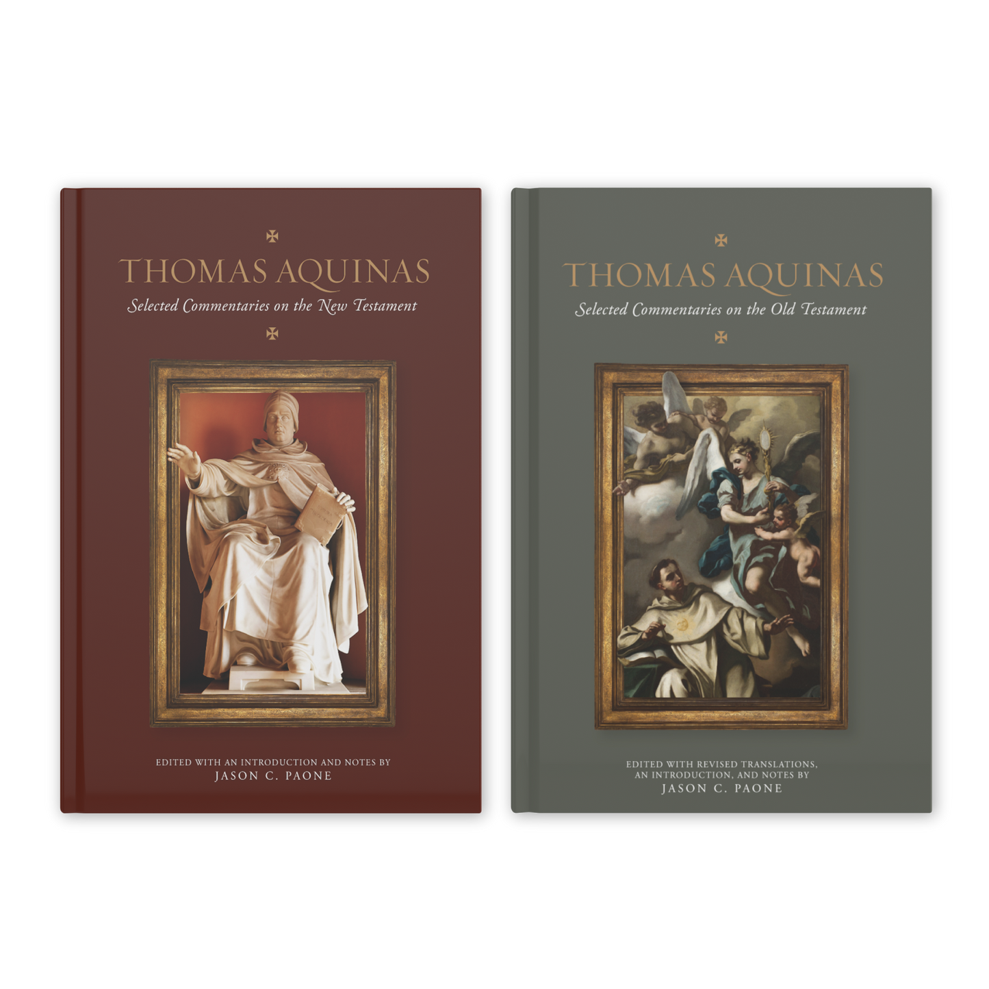 Thomas Aquinas Selected Commentaries Bundle