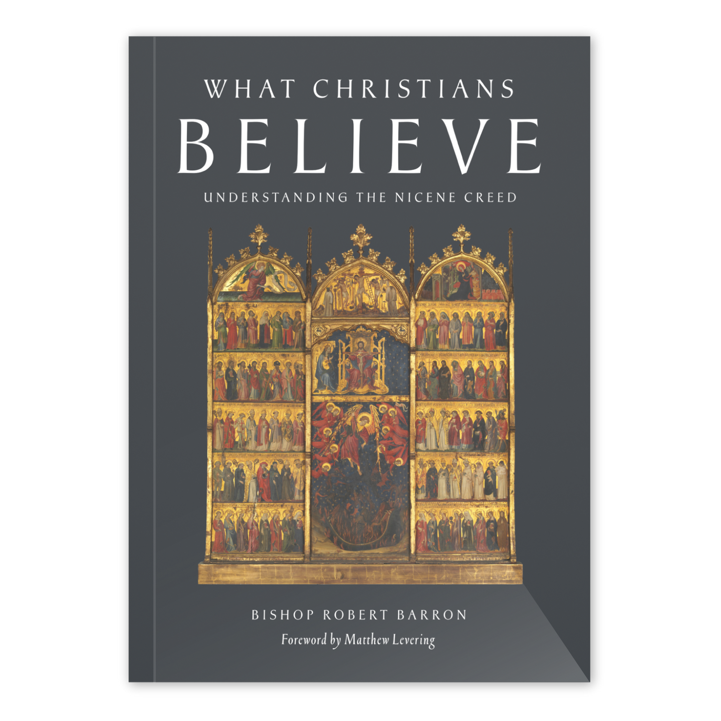 What Christians Believe - Box of 20