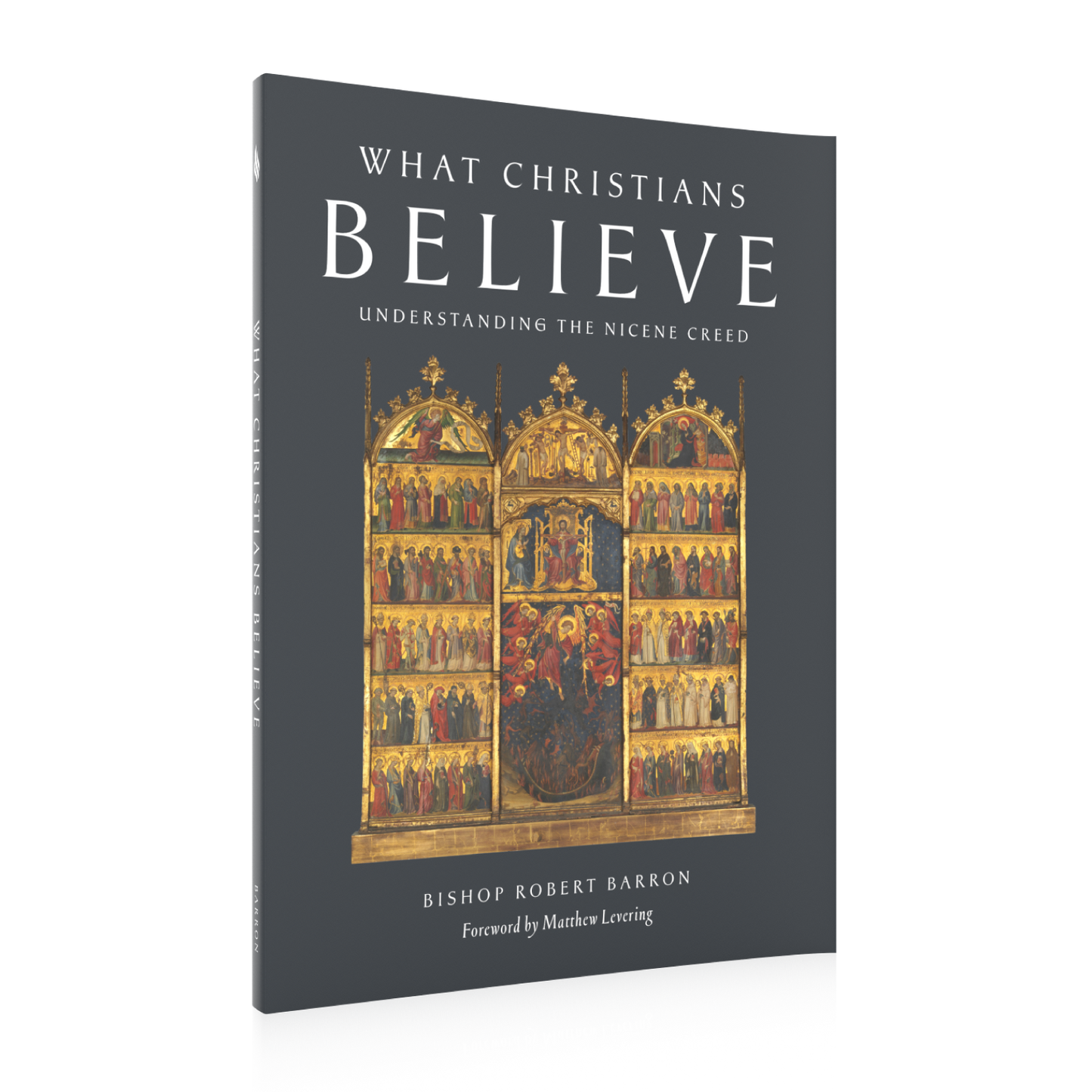 What Christians Believe - Box of 20