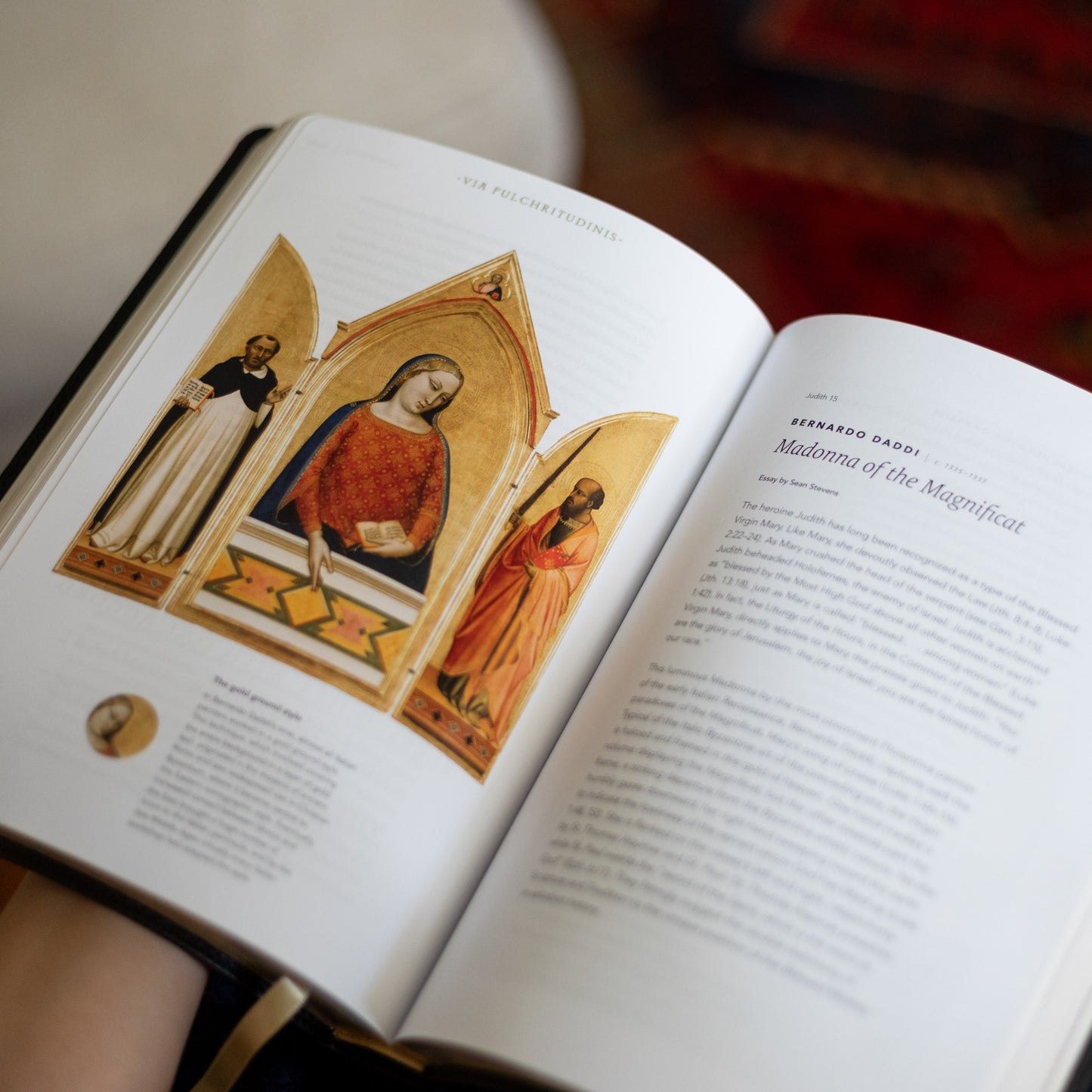 The Word on Fire Bible (Volume V): Exile and Return