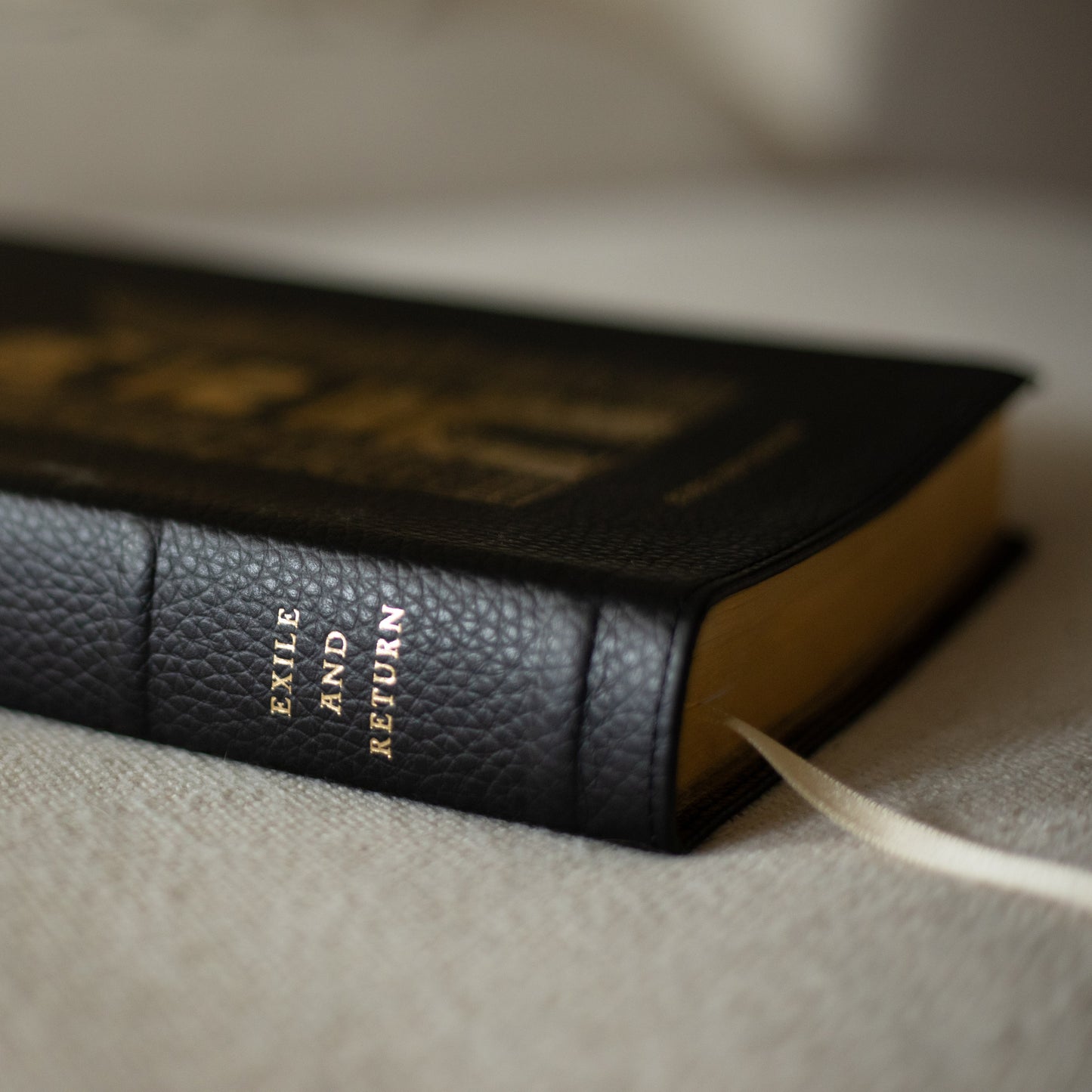 The Word on Fire Bible (Volume V): Exile and Return