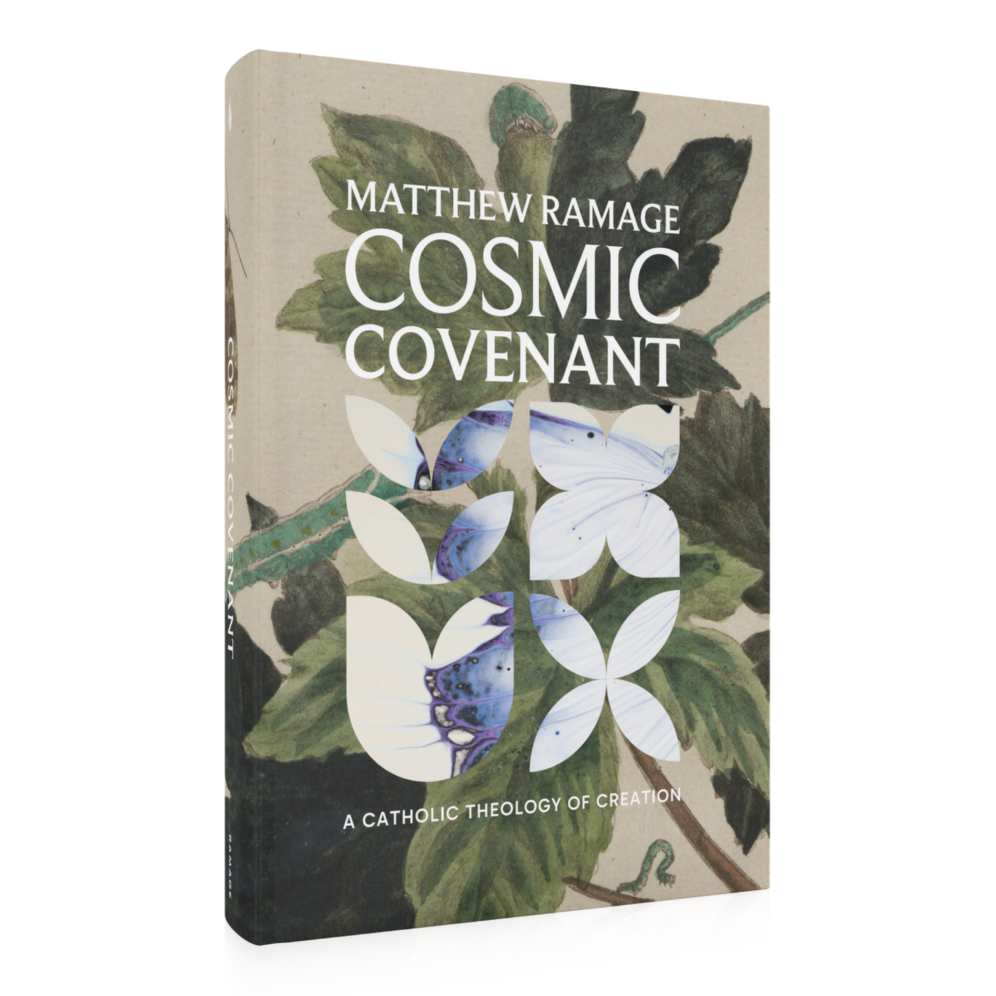 Cosmic Covenant: A Catholic Theology of Creation