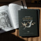 Advent Gospel Reflections 2026