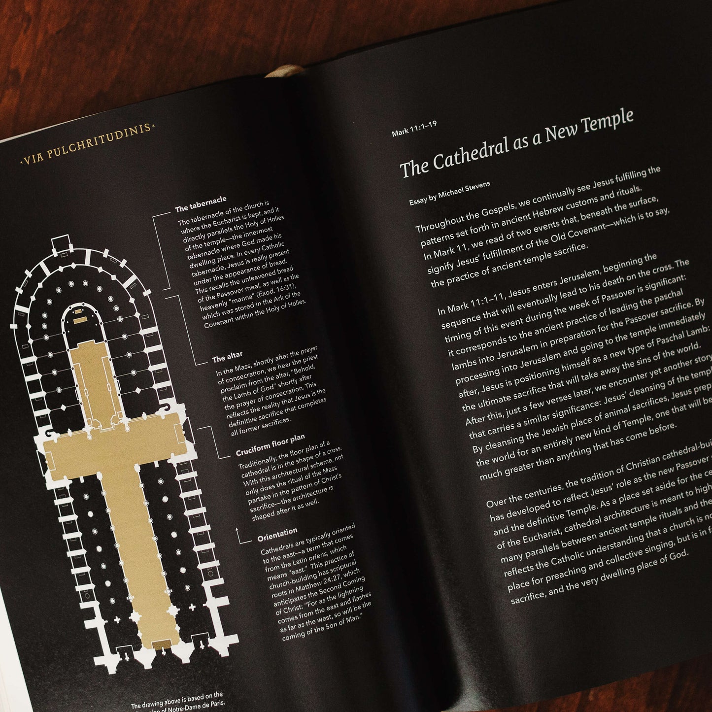 The Word on Fire Bible (Volume I): The Gospels