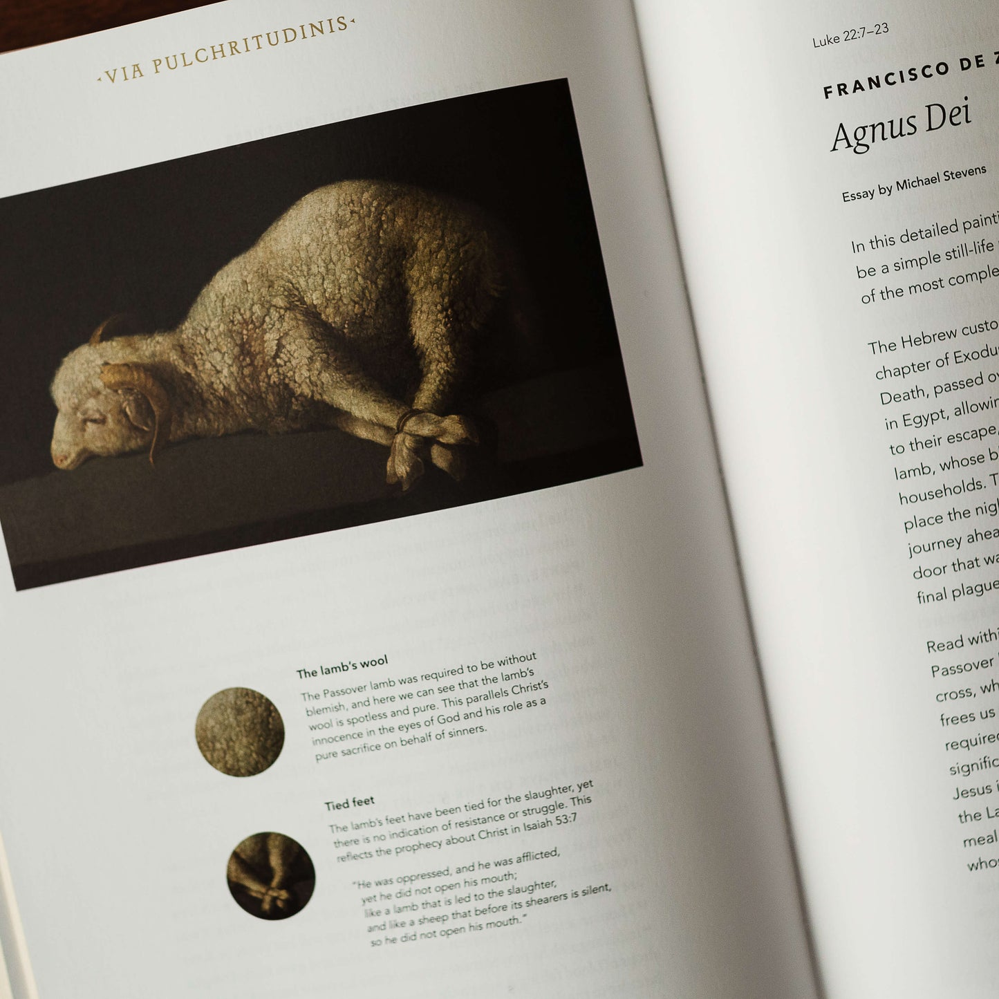 The Word on Fire Bible (Volume I): The Gospels