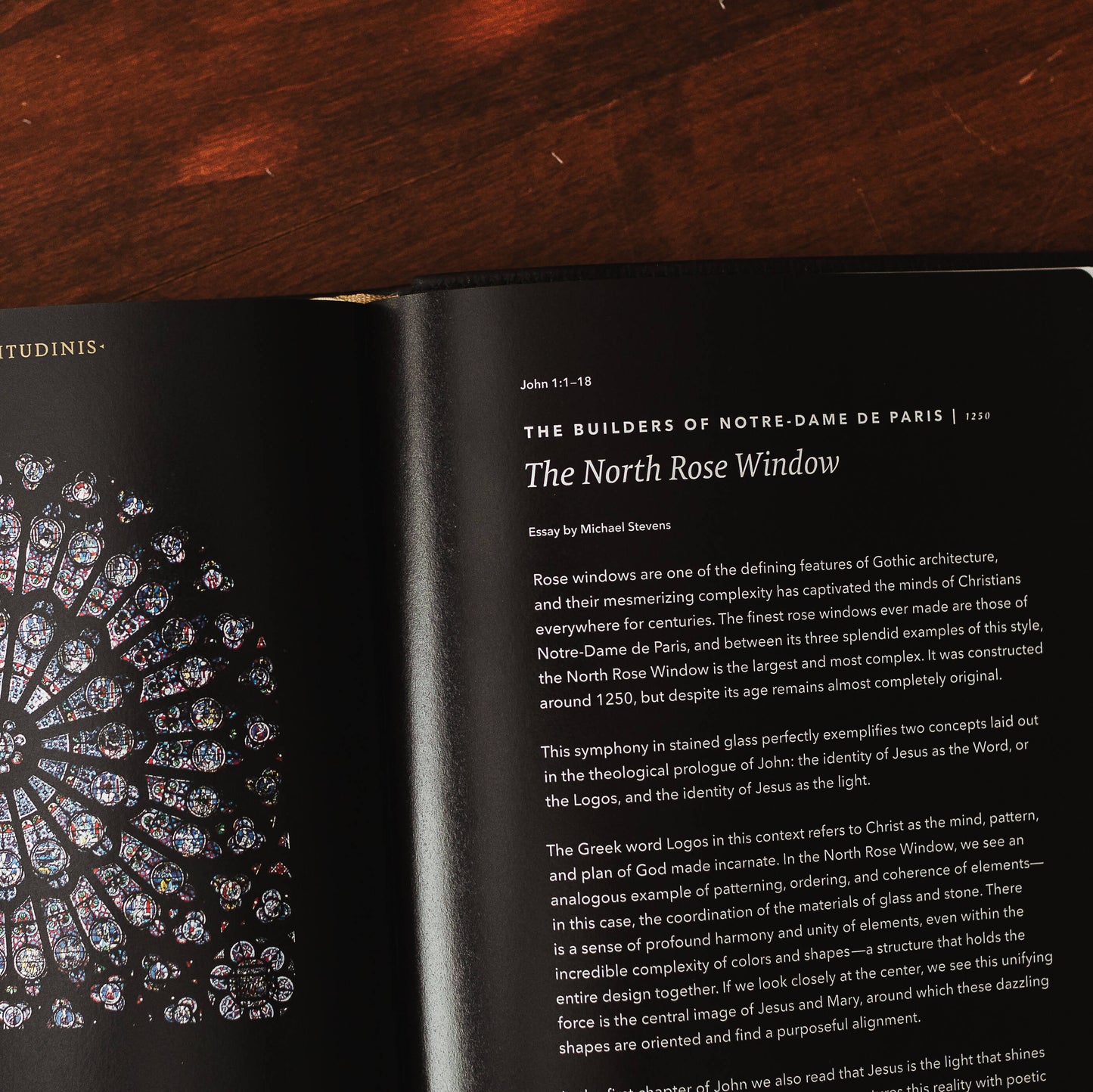 The Word on Fire Bible (Volume I): The Gospels