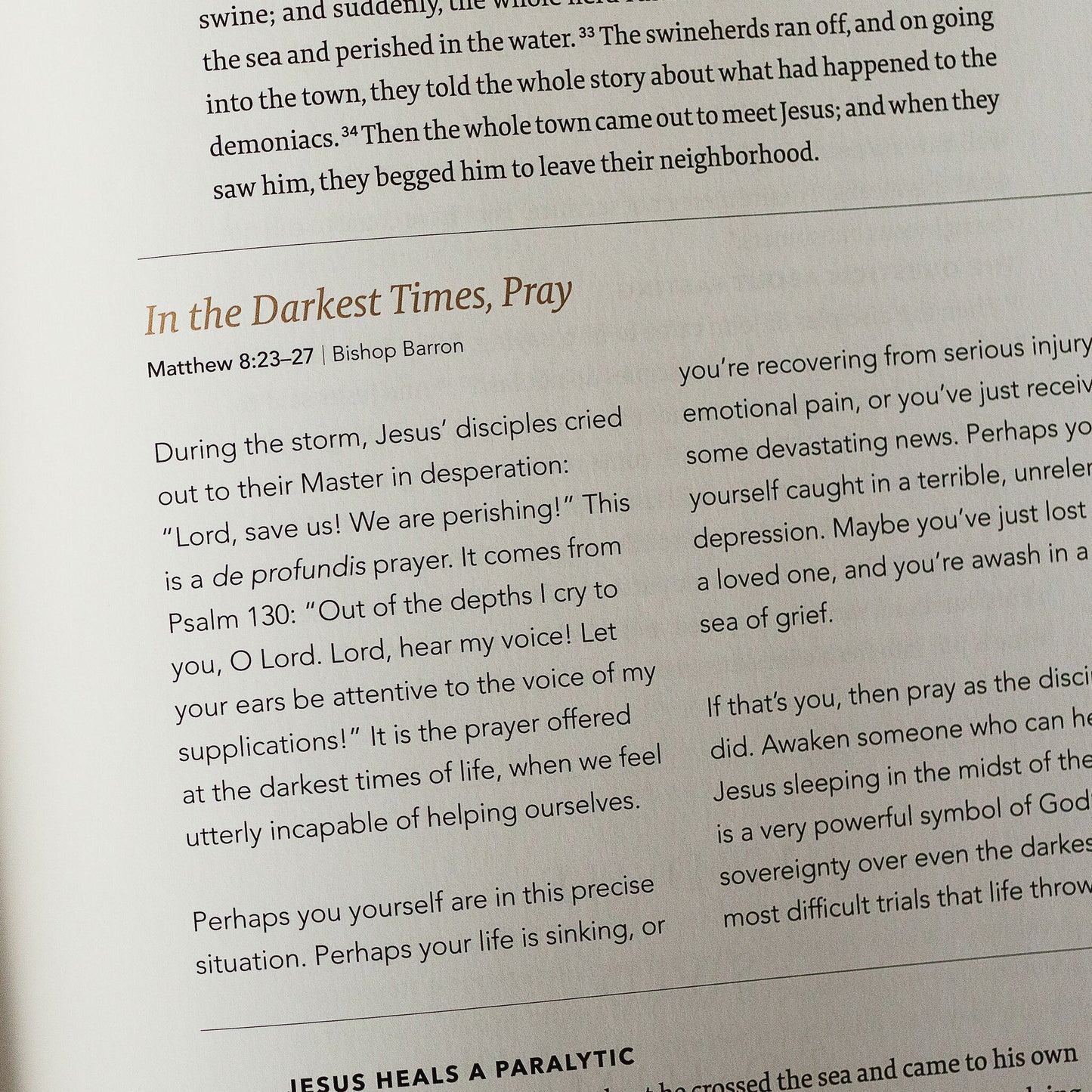 The Word on Fire Bible (Volume I): The Gospels