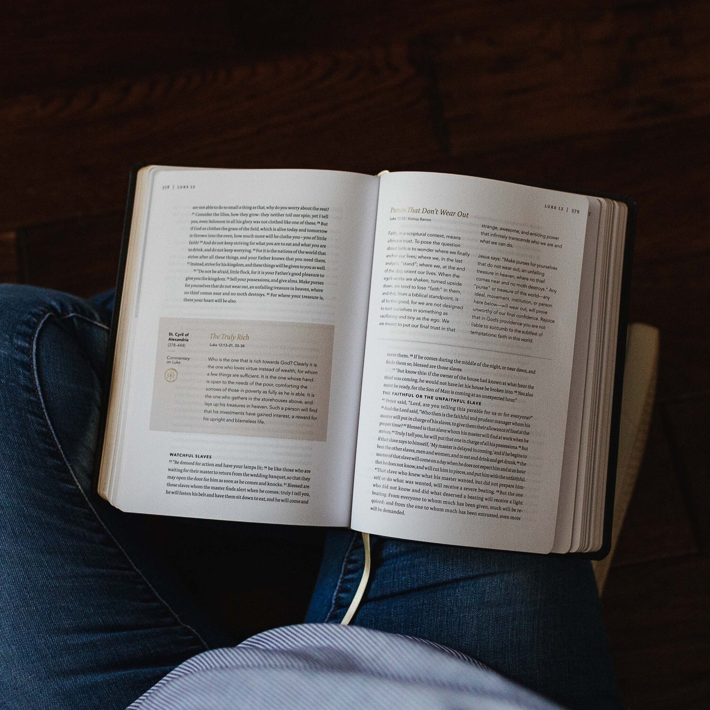 The Word on Fire Bible (Volume I): The Gospels