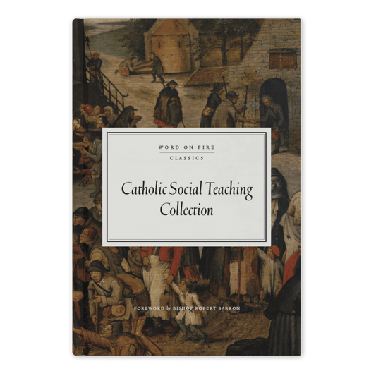 Catholic Social Teaching Collection