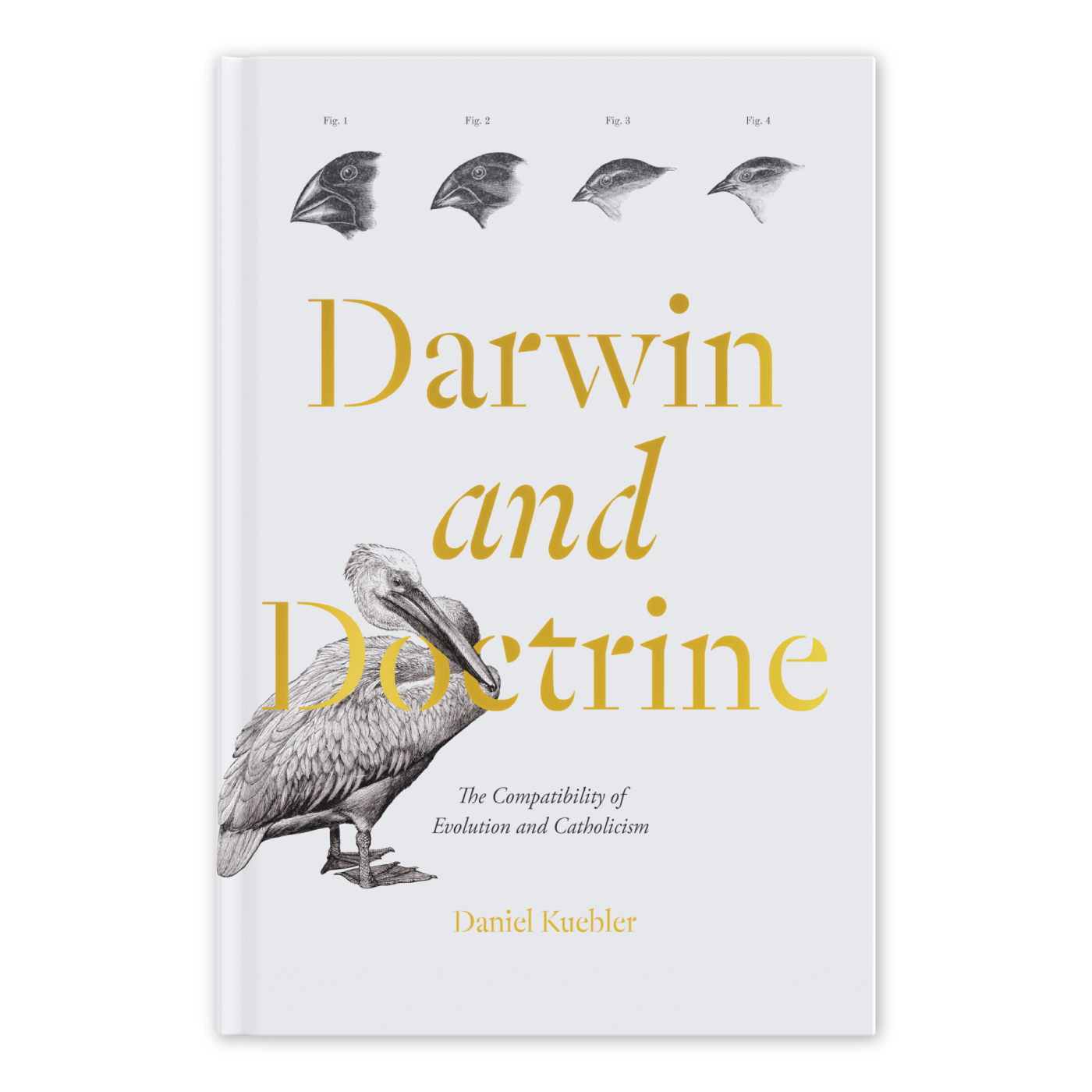 Darwin and Doctrine