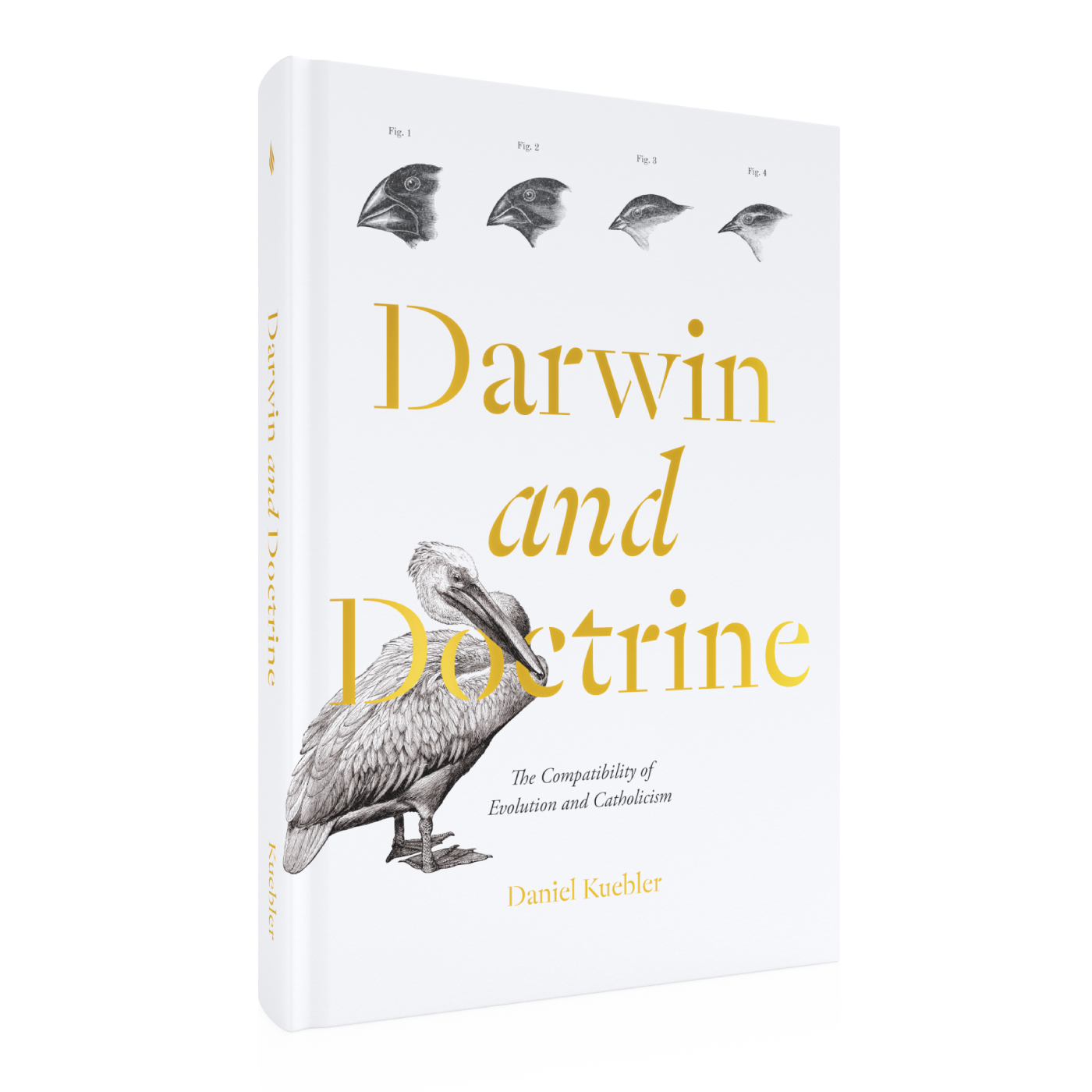 Darwin and Doctrine