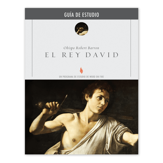 El Rey David Guía de Estudio