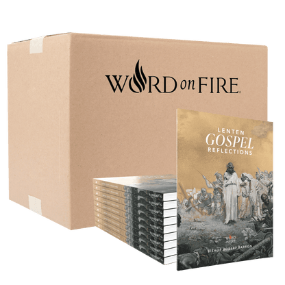 Lenten Gospel Reflections 2025 - Box of 20