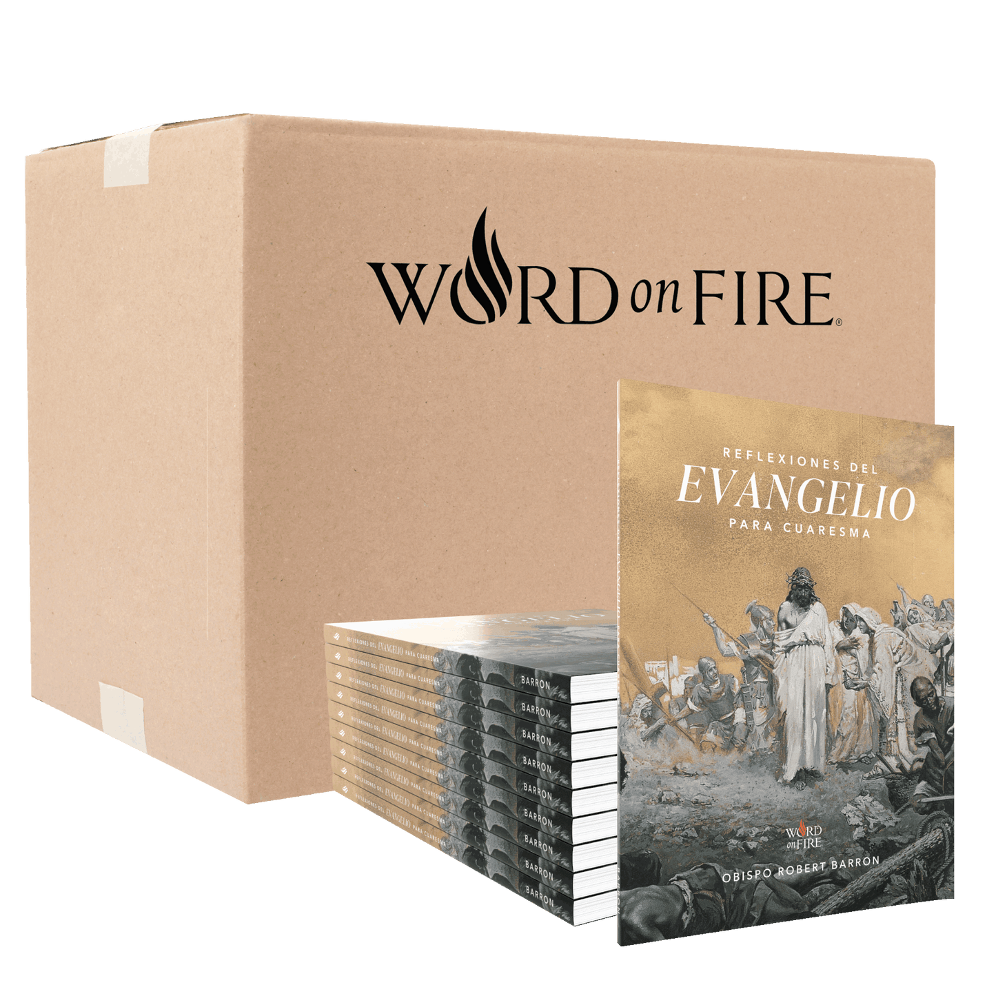 Lenten Gospel Reflections 2025 - Box of 20