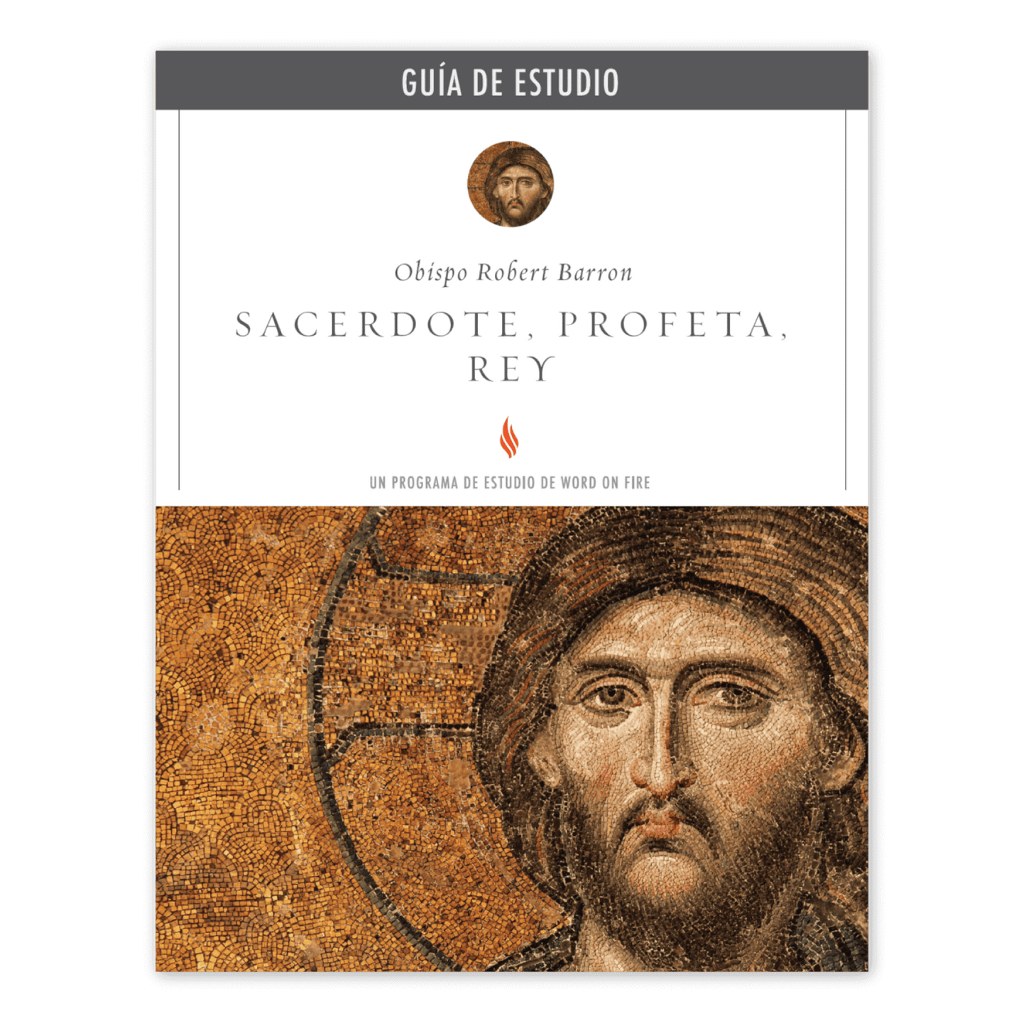 Sacerdote, Profeta, Rey Guía de Estudio