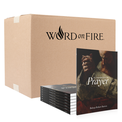 Introduction to Prayer Box of 20