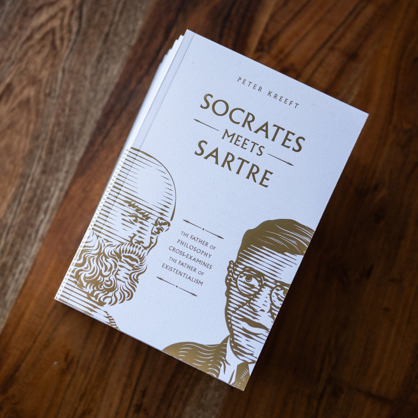Socrates Meets Sartre