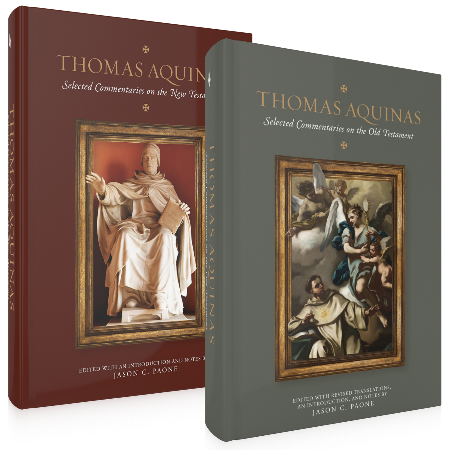 Thomas Aquinas Selected Commentaries Bundle