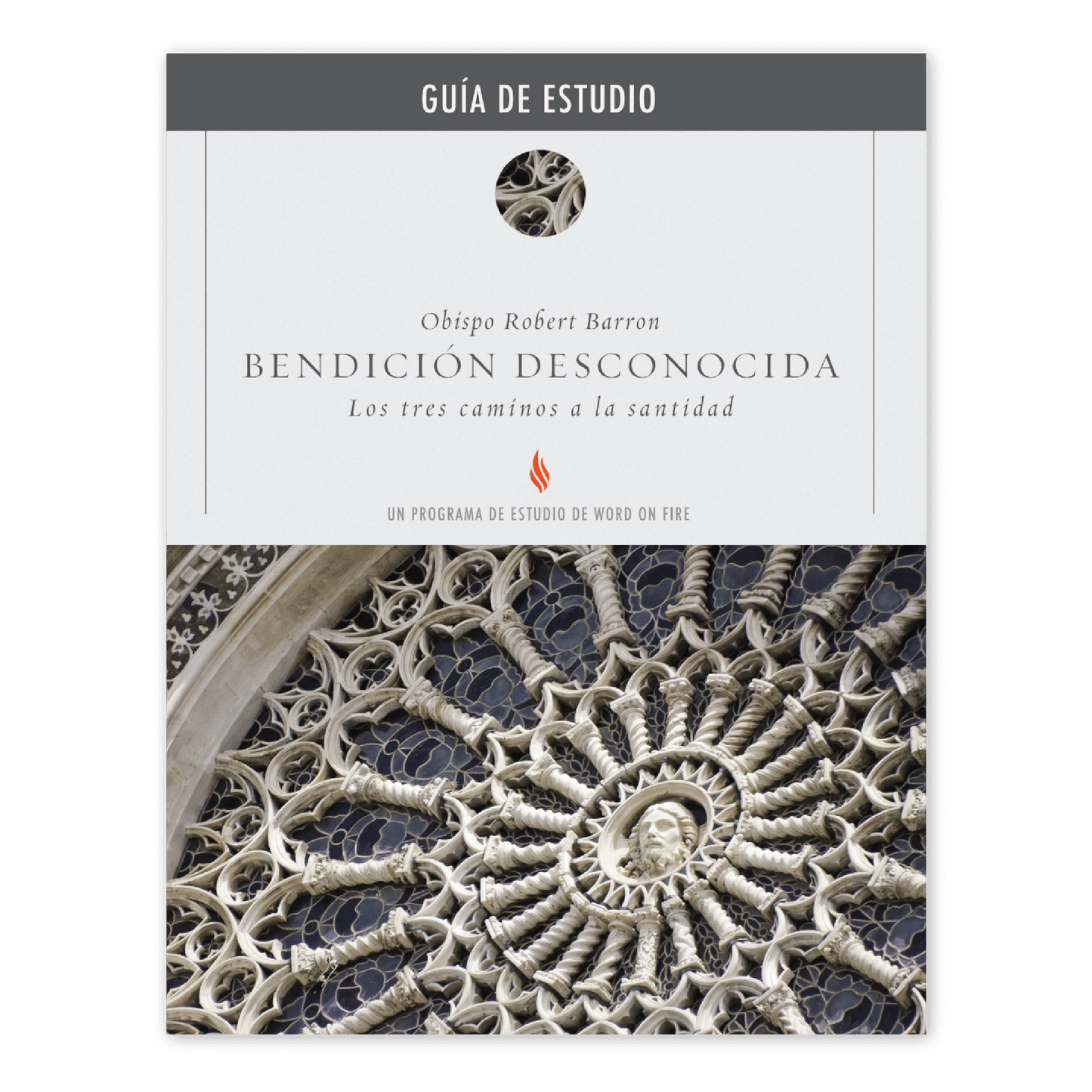 Bendición Desconocida Guía de Estudio