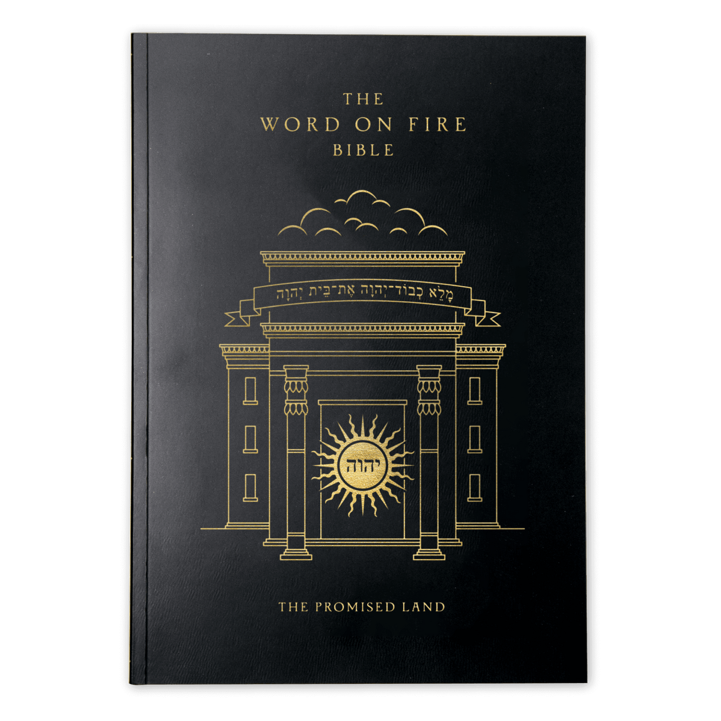 The Word on Fire Bible (Volume IV): The Promised Land