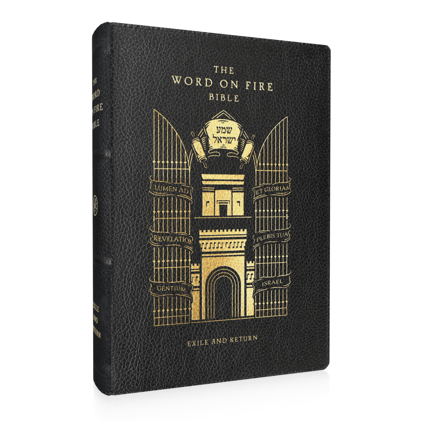 The Word on Fire Bible (Volume V): Exile and Return