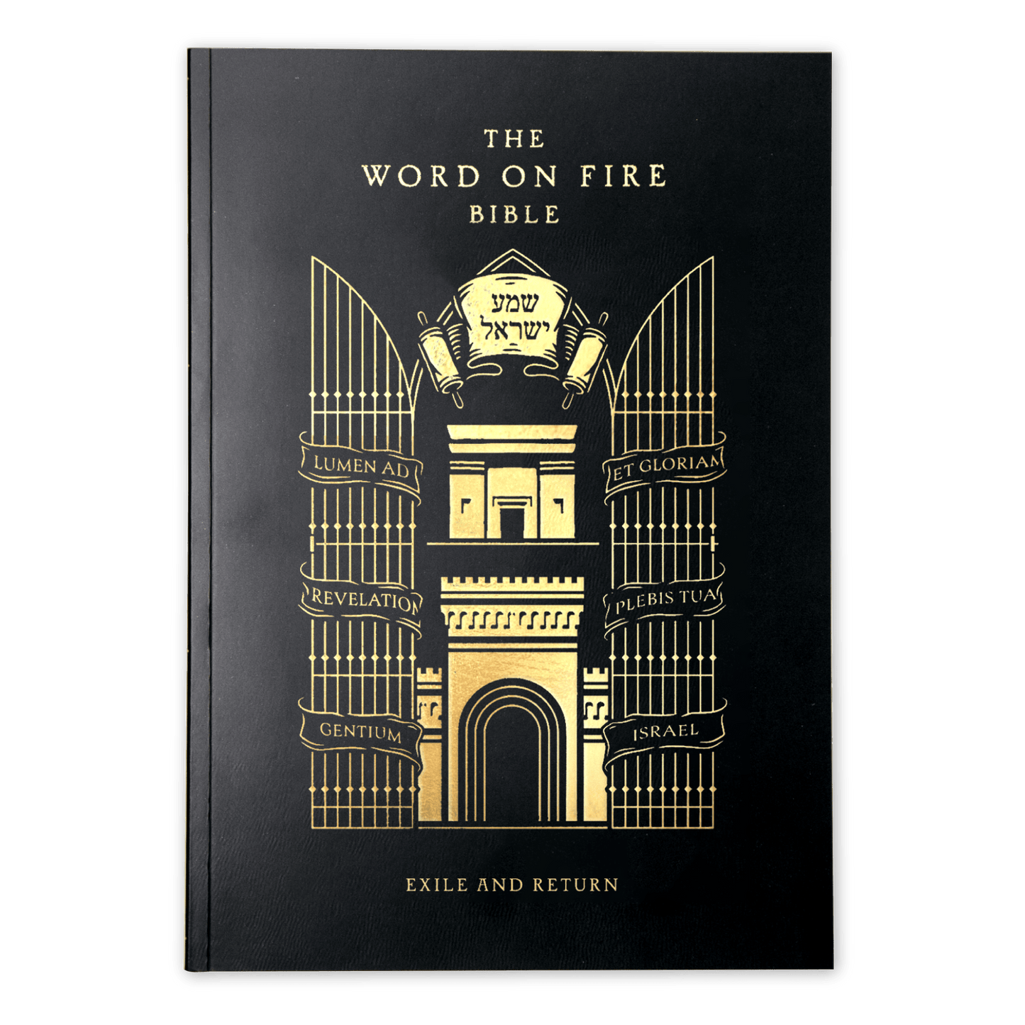 The Word on Fire Bible (Volume V): Exile and Return