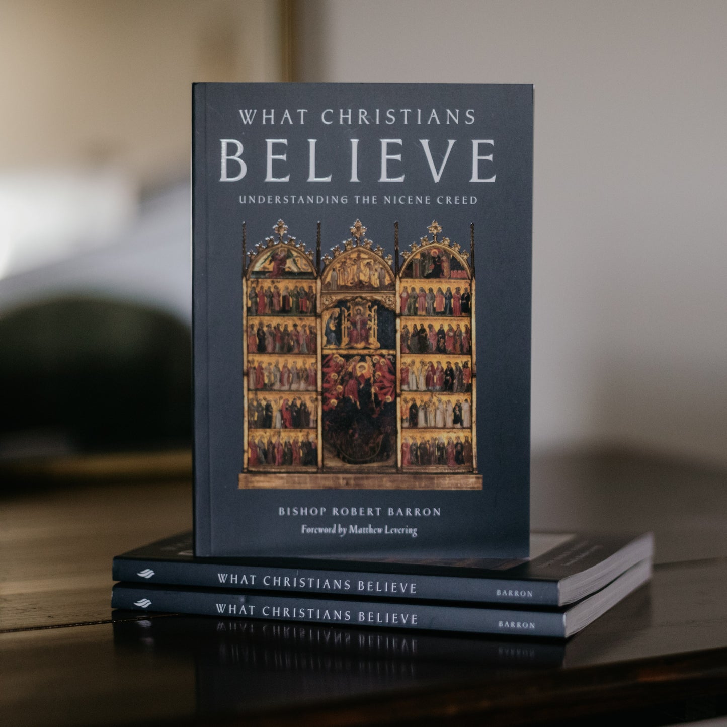 What Christians Believe - Box of 20