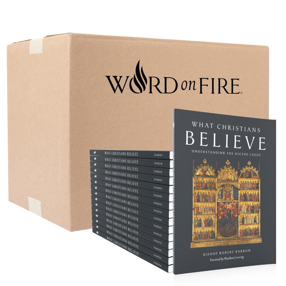 What Christians Believe - Box of 20