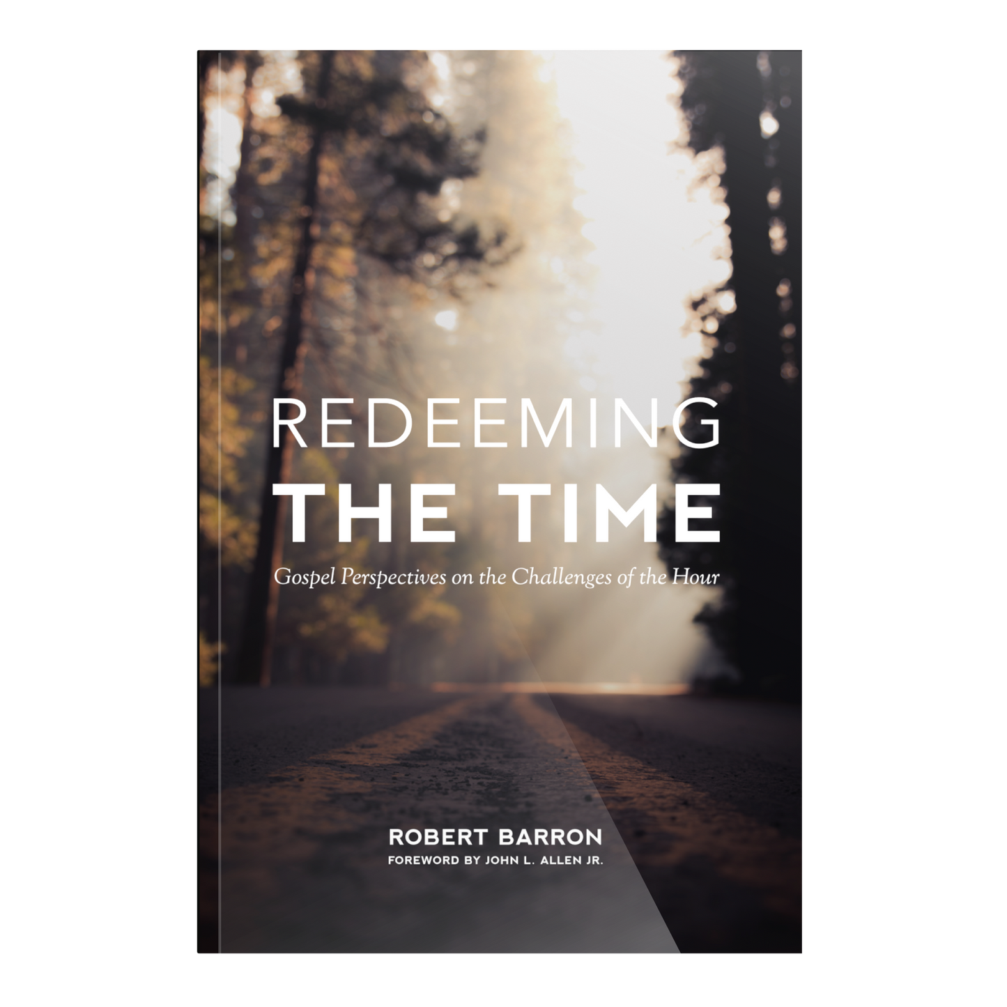 Redeeming the Time