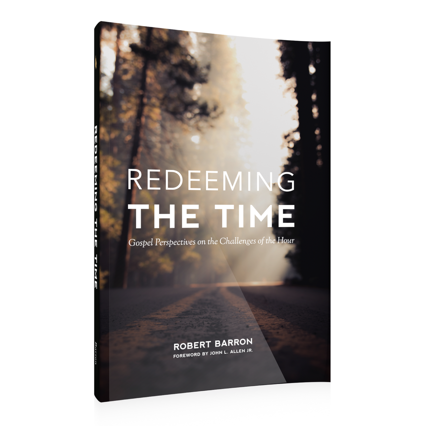 Redeeming the Time