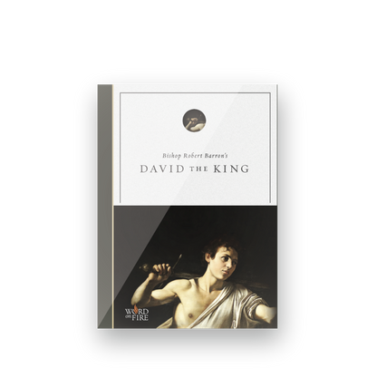Cover of David the King - Film featuring classical painting of a young man with a sling, contributors include Bishop Robert Barron, suitable for adults, ISBN 9781611648910, DVD binding, a Catholic spiritual growth and evangelization resource.